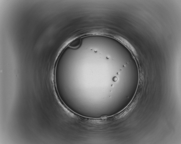 X0000116820855200912241239