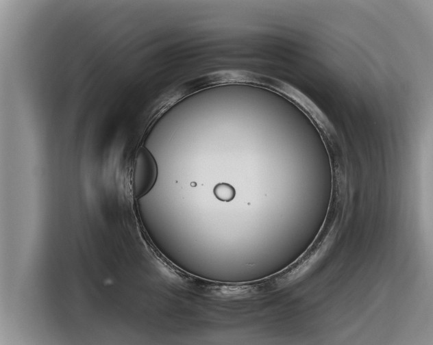 X0000116820857200912241239