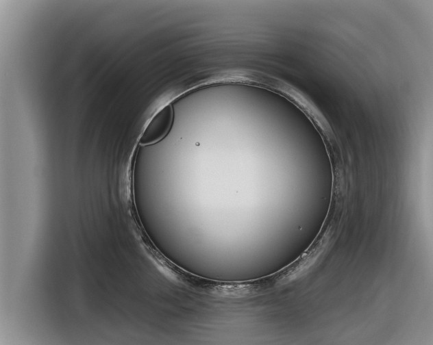 X0000116820858200912241239