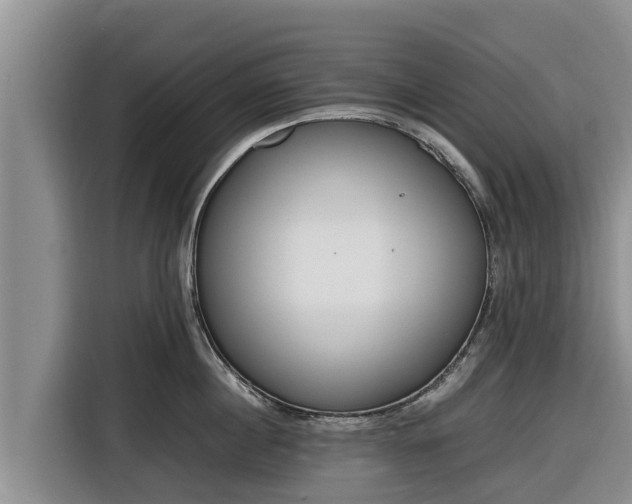 X0000116820860200912241239