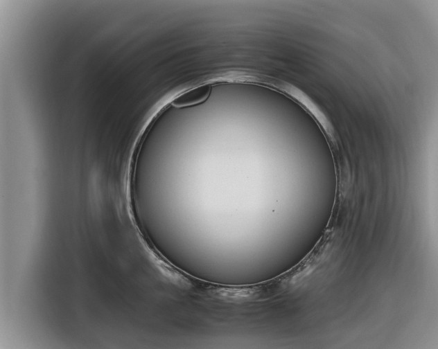 X0000116820861200912241239