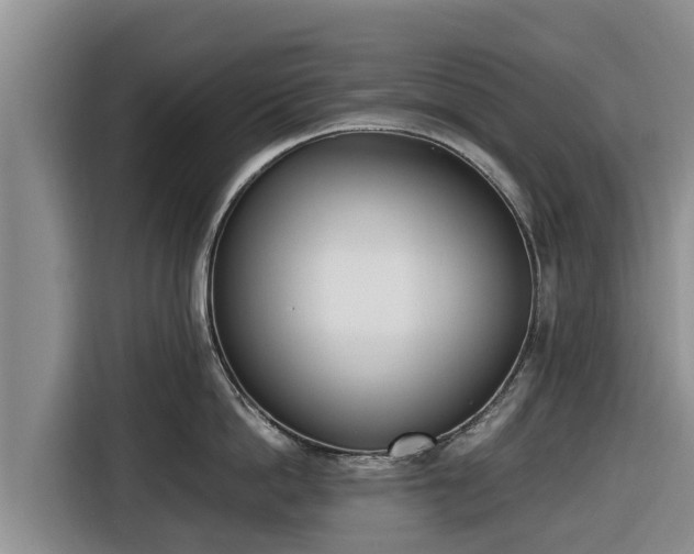 X0000116820862200912241239