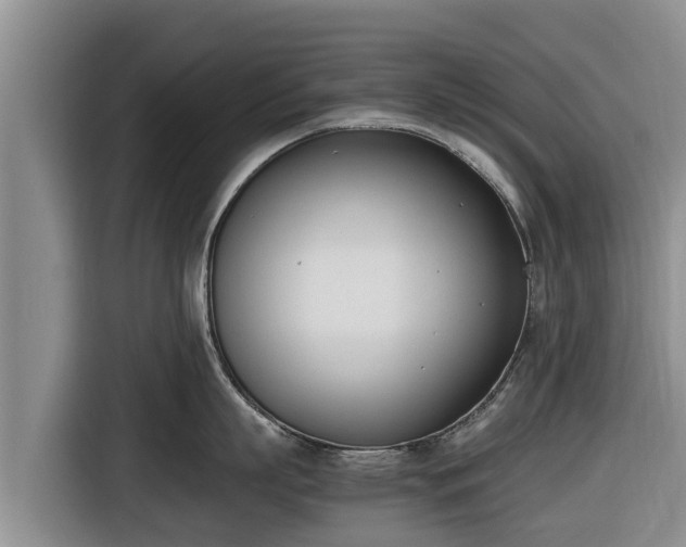 X0000116820863200912241239