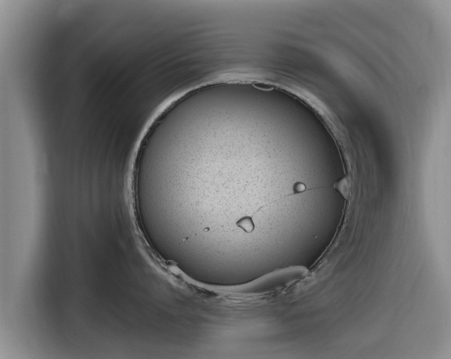 X0000116820864200912241239