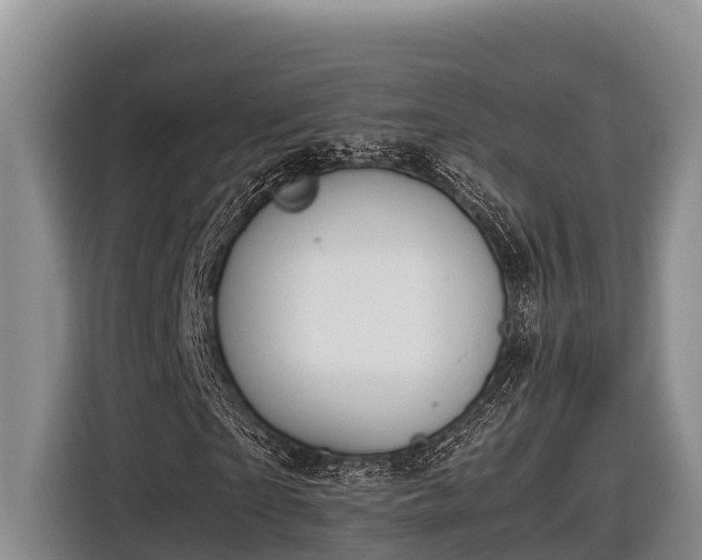 X0000116820865200912241239