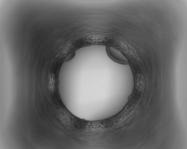 X0000116820866200912241239