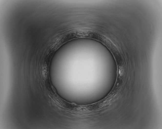 X0000116820867200912241239