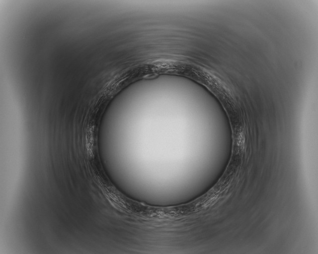 X0000116820868200912241239