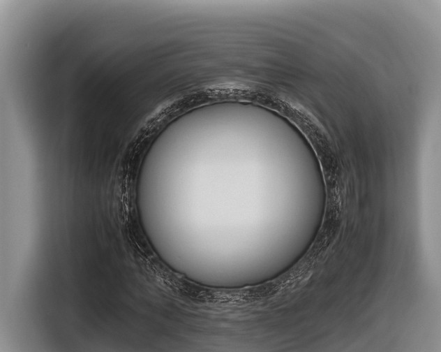 X0000116820870200912241239