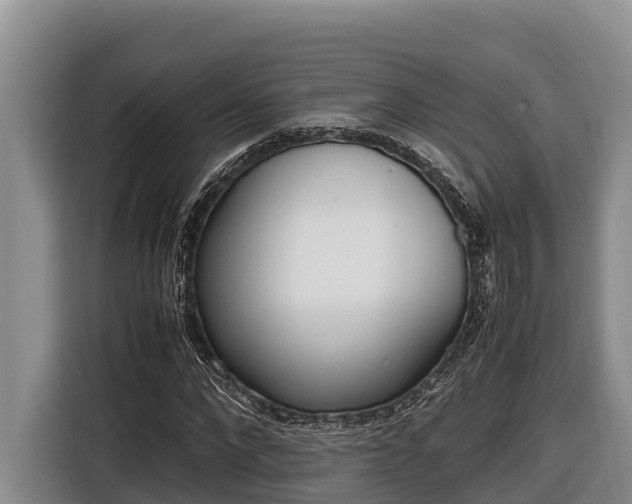 X0000116820872200912241239