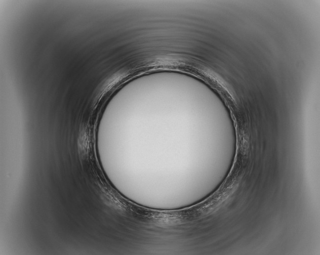 X0000116820874200912241239