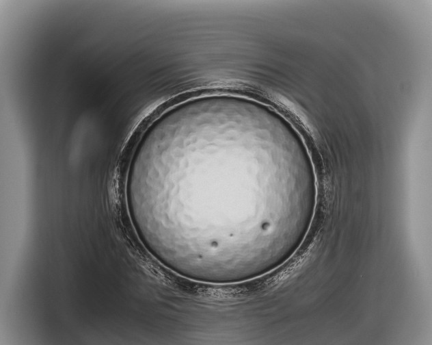 X0000116820875200912241239