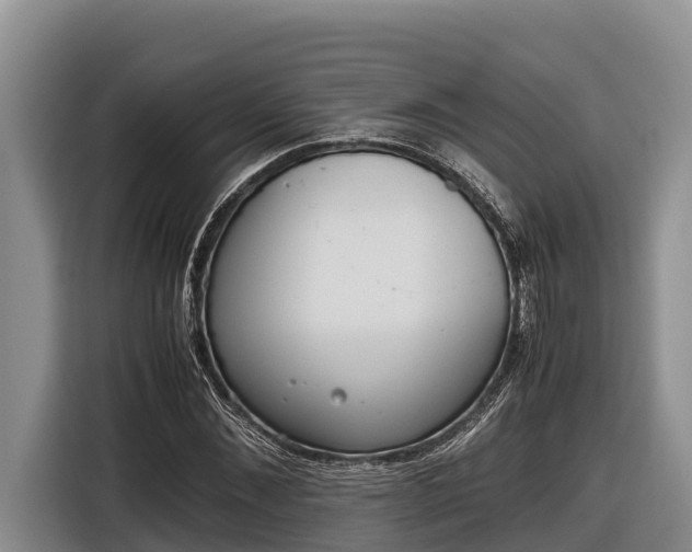 X0000116820876200912241239