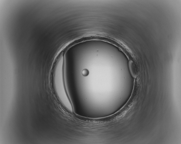 X0000116820877200912241239