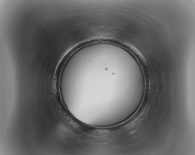 X0000116820878200912241239