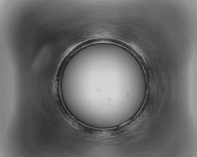 X0000116820879200912241239