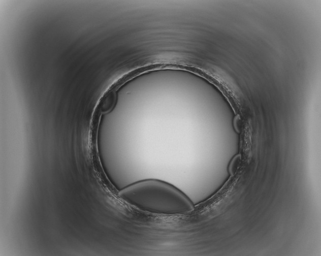 X0000116820880200912241239