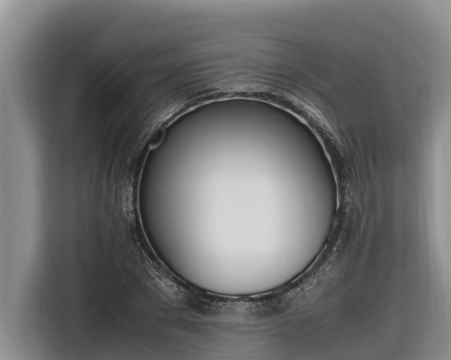 X0000116820881200912241238