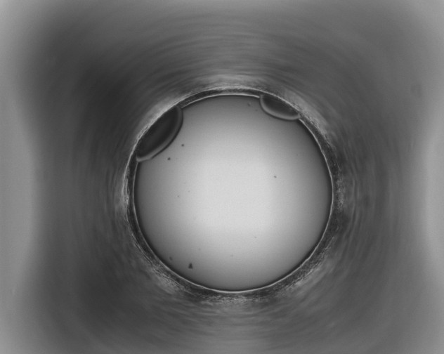 X0000116820885200912241238