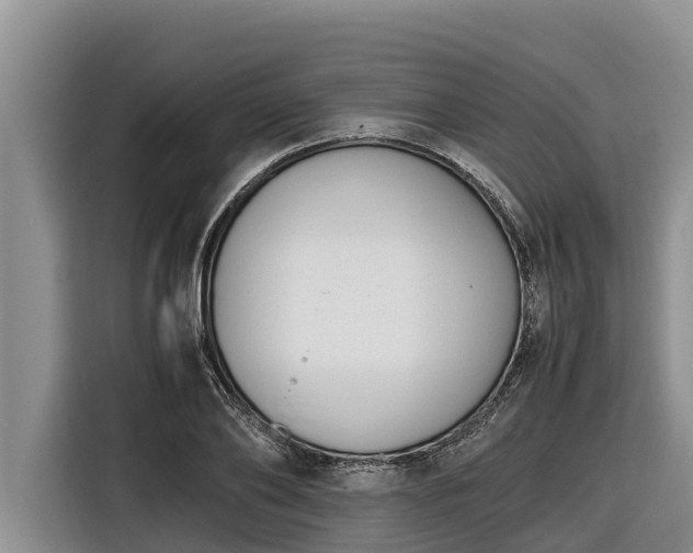 X0000116820886200912241238