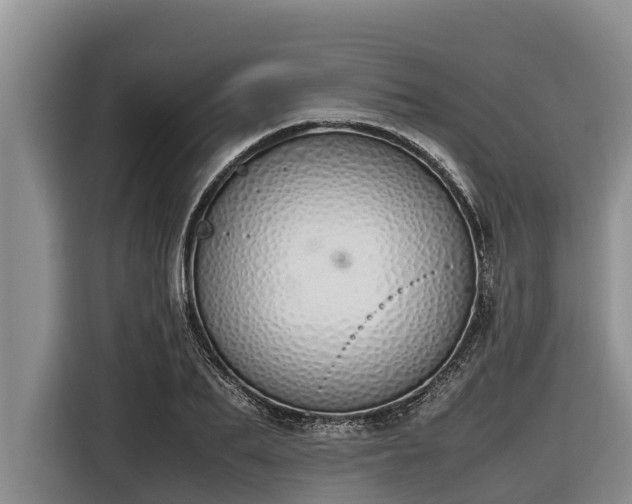 X0000116820887200912241238