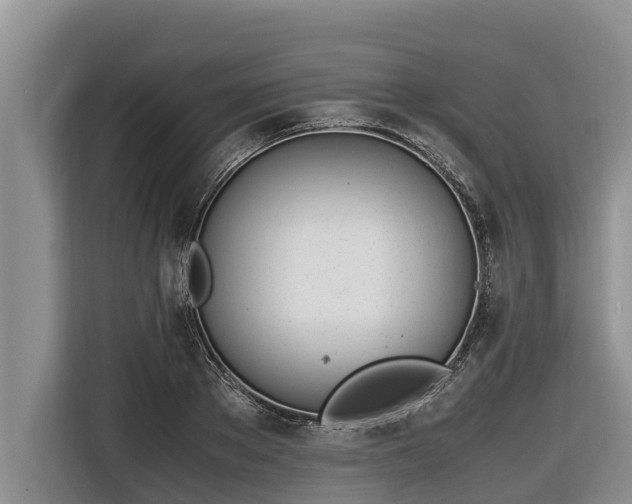 X0000116820889200912241238