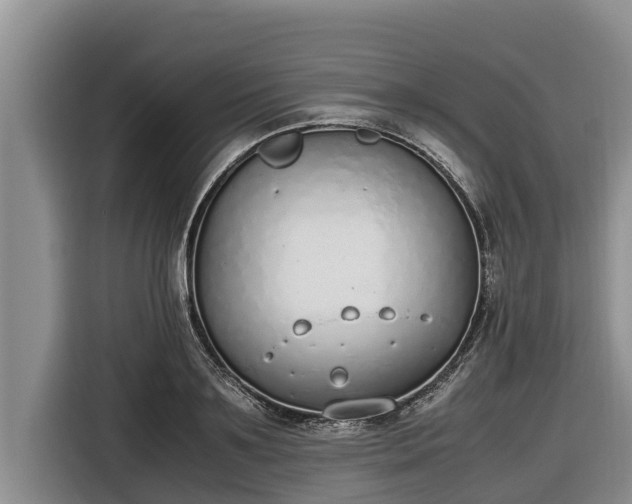 X0000116820891200912241238