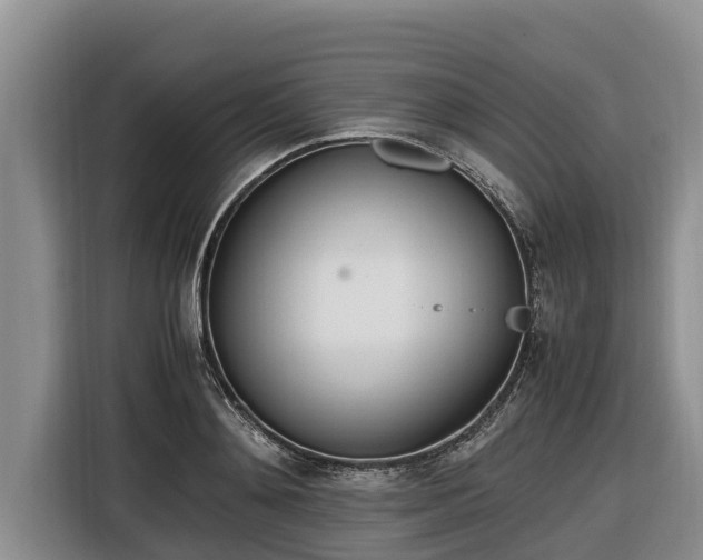 X0000116820892200912241238