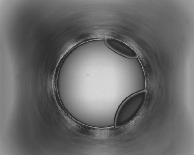 X0000116820893200912241238