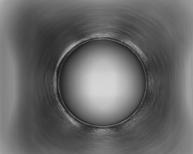 X0000116820894200912241238