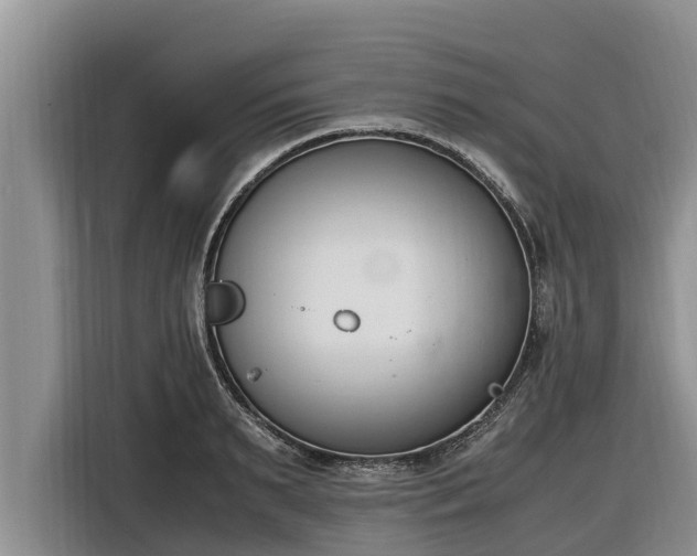 X0000116820895200912241238