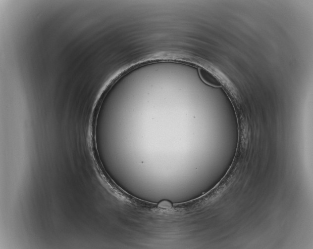 X0000116820896200912241238