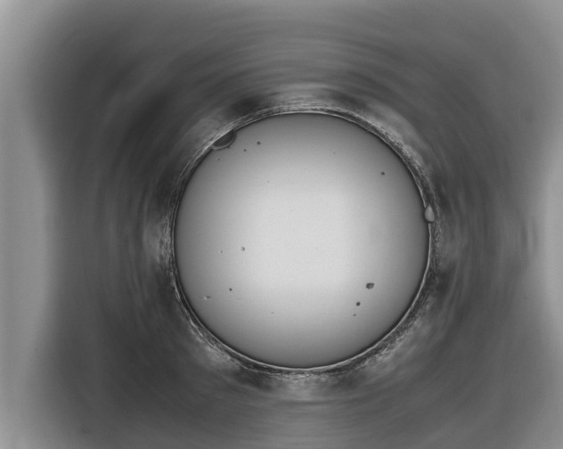 X0000116820897200912241238