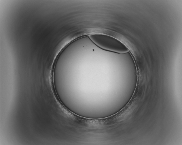 X0000116820901200912241238