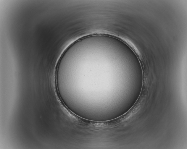 X0000116820903200912241238