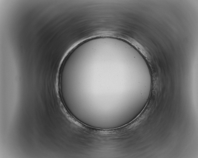 X0000116820904200912241238