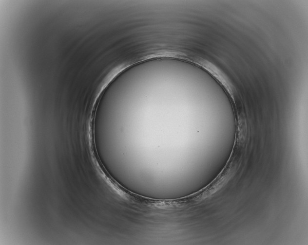 X0000116820906200912241238