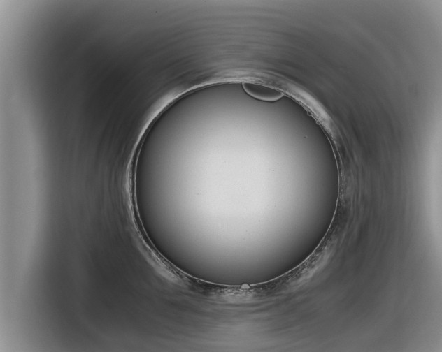 X0000116820907200912241238