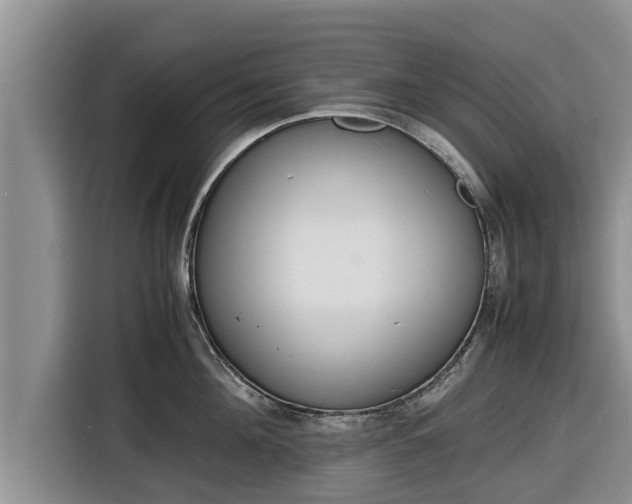 X0000116820908200912241238