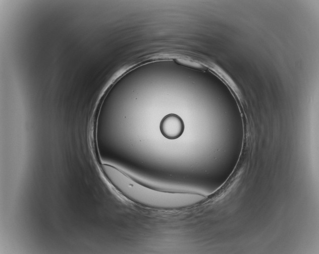 X0000116820909200912241238