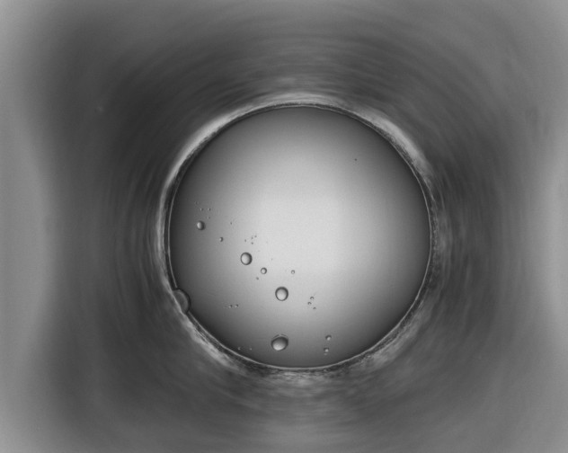 X0000116820910200912241238