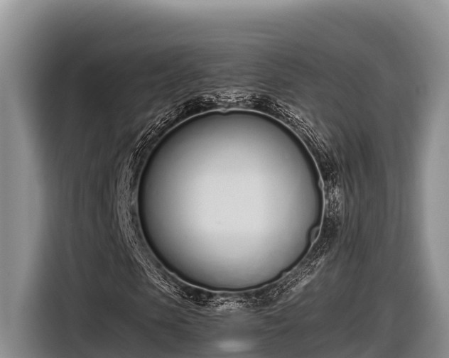 X0000116820913200912241237