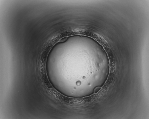 X0000116820917200912241238