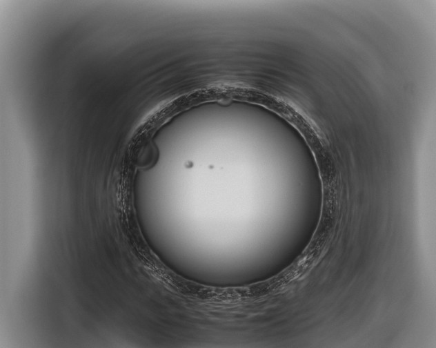 X0000116820919200912241238