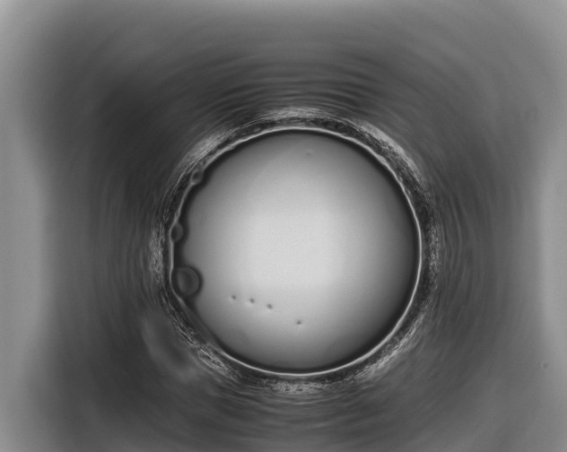 X0000116820921200912241238