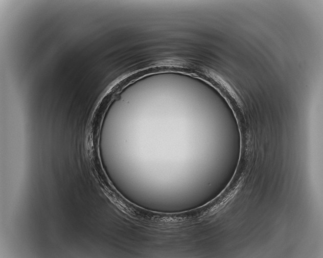 X0000116820923200912241238