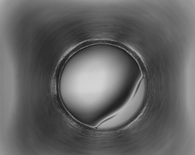 X0000116820925200912241238