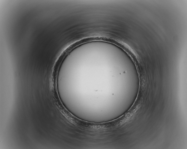 X0000116820927200912241238