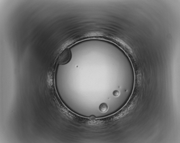 X0000116820929200912241238