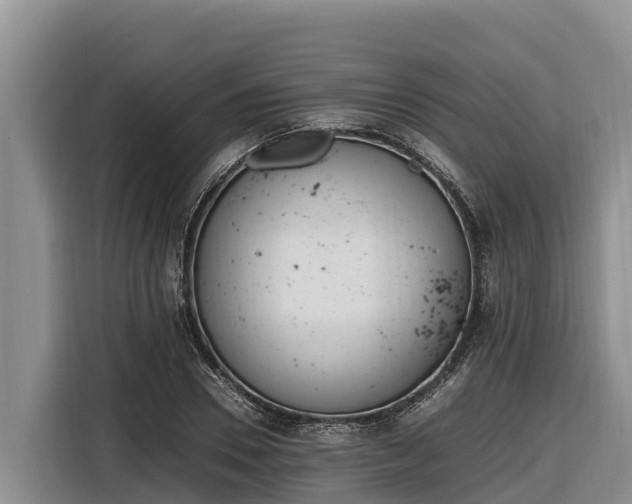 X0000116820930200912241238